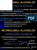 METABOLISM GLUCITE - Glicoliza - Catabolism