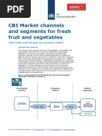 CBI Channels Segments Europe Fresh Fruit Vegetables 2014