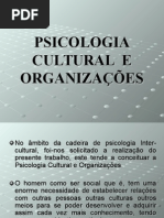 Psicologia Cultural e Organiza__es. Inter