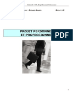 Formation Initiale PPP S2 - Dossier de Projet Personnel Et Bilan Professionnel