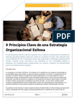 9 PRINCIPIOS CLAVE PARA DE UNA ESTRATEGIA ORGANIZACIONAL EXITOSA - Fortna PDF