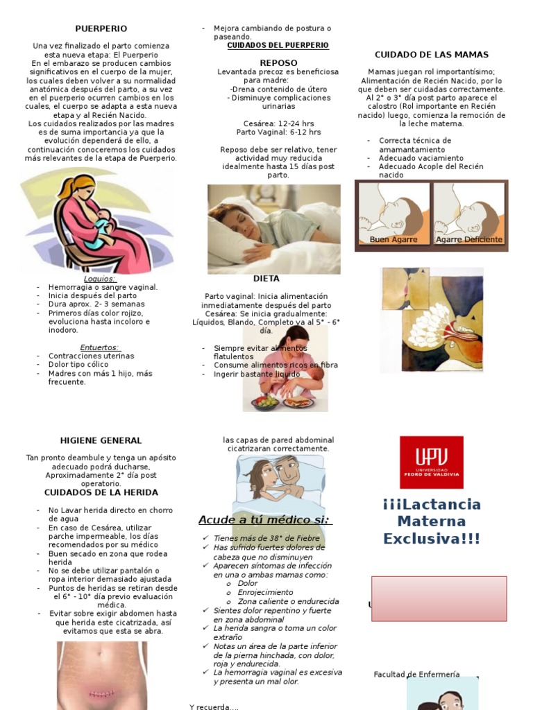 Triptico Cuidados del puerperio Periodo posparto Parto