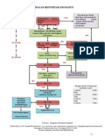 Bagan Resusitasi Neonatus-1