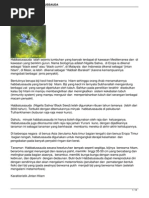 Download jintan-hitam-habbatussaudabyAdamAlfisyahrinAkbarSN286347097 doc pdf