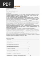 Ejemplo de Informe de Practica Docente 1