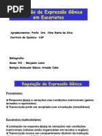 Aula9 Expressao Genica Eucariotos
