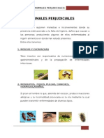 Animales Perjudiciales