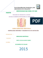 Diagnostico de Gestacion y Mortalidad Materna