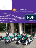 Instructivo Villalobos 2015.