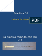 Practica 01