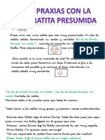 Praxias Con La Ratita Presumida PDF