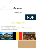 Belgium Project 1