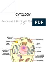 Cytology: Emmanuel A. Domingcil, BSN, RN, USRN, MAN