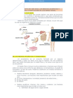 Resúmenes Ciencias Naturales 1º Eso