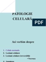 Patologie Celulara