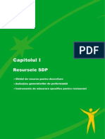 Resursele SDP Cap.I