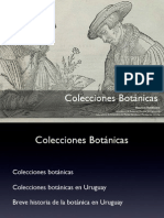 Colecciones Botánicas