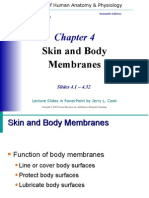 Skin and Body Membranes CH 4 Marieb 7