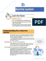 Ch7Endocrinesystem.pdf