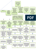 Arbol de Objetivos desarrollo sustentable