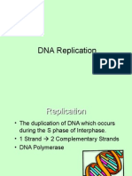 Dna Replication 2
