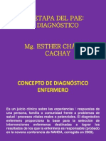 II_ETAPA_DEL_PAE.pdf
