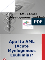 AML (Acute Myelogenous Leukimia)