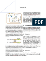 NF-κB.pdf