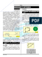 Grandezas e Vetores