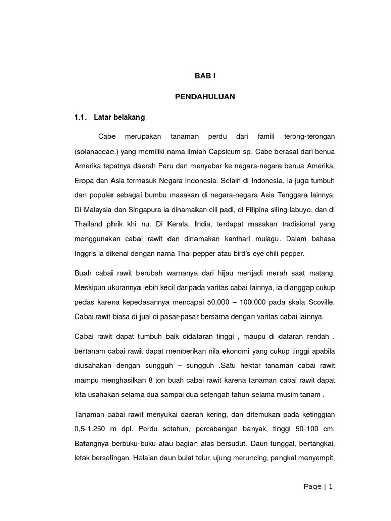 Makalah Cabai Rawit