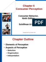 Consumer Perception