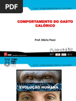 CP6 - Comportamento Do Gasto Calórico - Mário Pozzi