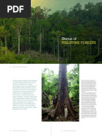 Download Status of Philippine Forests by Reese SN286596551 doc pdf