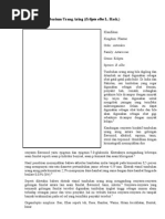 Download Laporan Herbarium New 2007 by Ardi Firtz Zhouu SN286632166 doc pdf