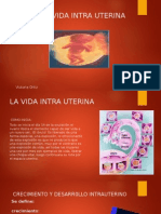 La Vida Intra Uterina