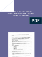 Embryology Lecture 10