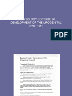 Embryology Lecture 20