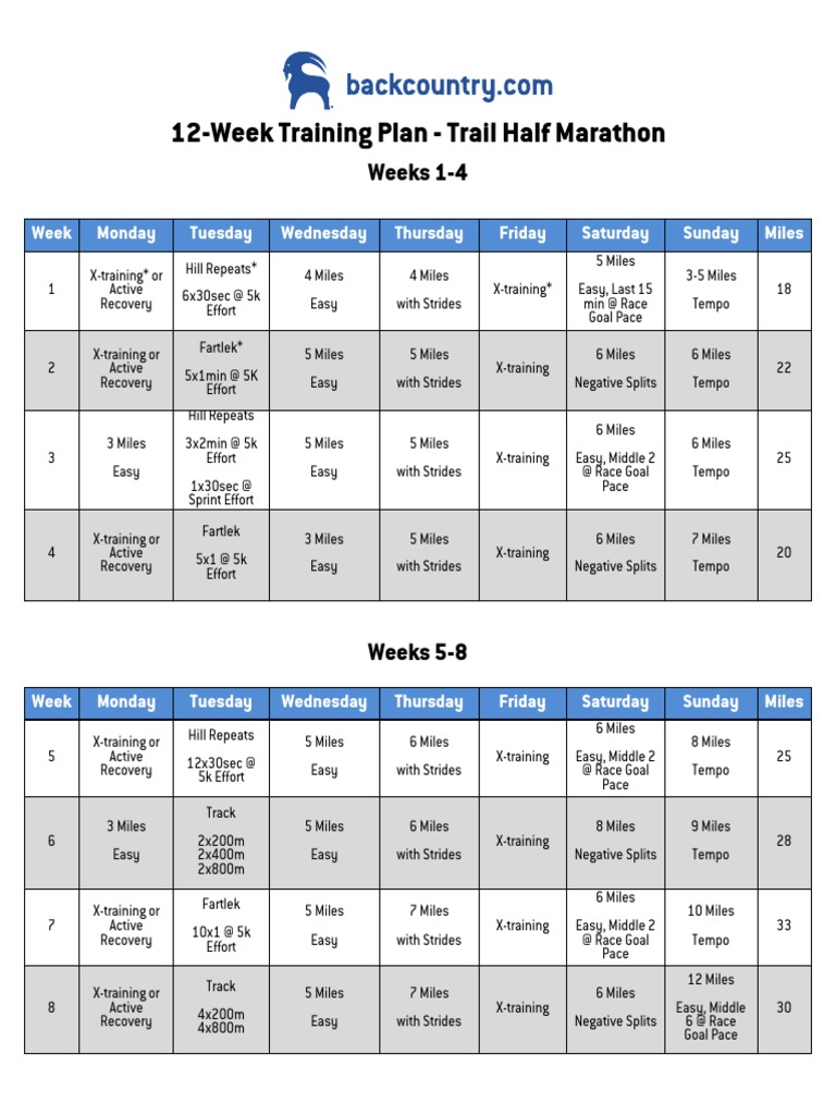 6 Day Dtp workout 12 week for Beginner