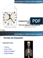 6 AFH 1213 Esqueleto Da Coluna e Do Torax (Impresso)