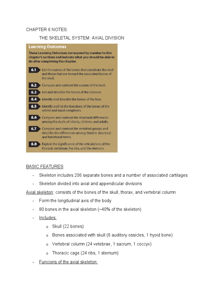 Chapter 6 Reading Notes | PDF | Skull | Skeleton