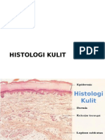 Histologi kulit