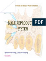 Malereproductive (Author T.globa)