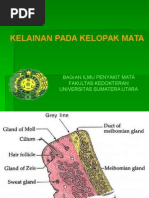 Download Mata- Kelainan Pada Kelopak Mata by Monika Ayuningrum SN286802905 doc pdf