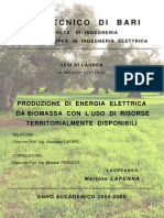 Produzione Di Energia Elettrica Da Biomassa