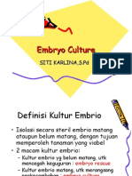 Kultur Embrio
