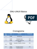 Linux Basico