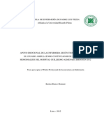 Apoyo Emocional de La Enfermera Según Teoria de Peplau Hemodialisis Almenara 20gggg12