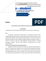 ADemirRawls PDF