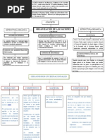 Mapa Conceptual - Onu y o.i.