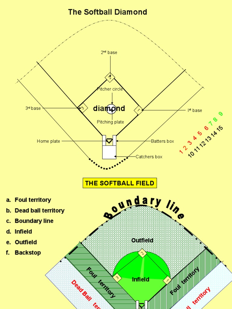 Softball Field Layout and Player Positions | PDF